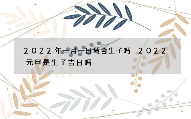 2022年一月一日适合生子吗 2022元旦是生子吉日吗